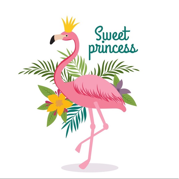 🦩MYSTERY BOX 🦩 - Picture 4 of 5